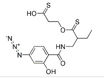 (p-Azidosalicylamido)ethyl-1,3'-dithiopropionic acid